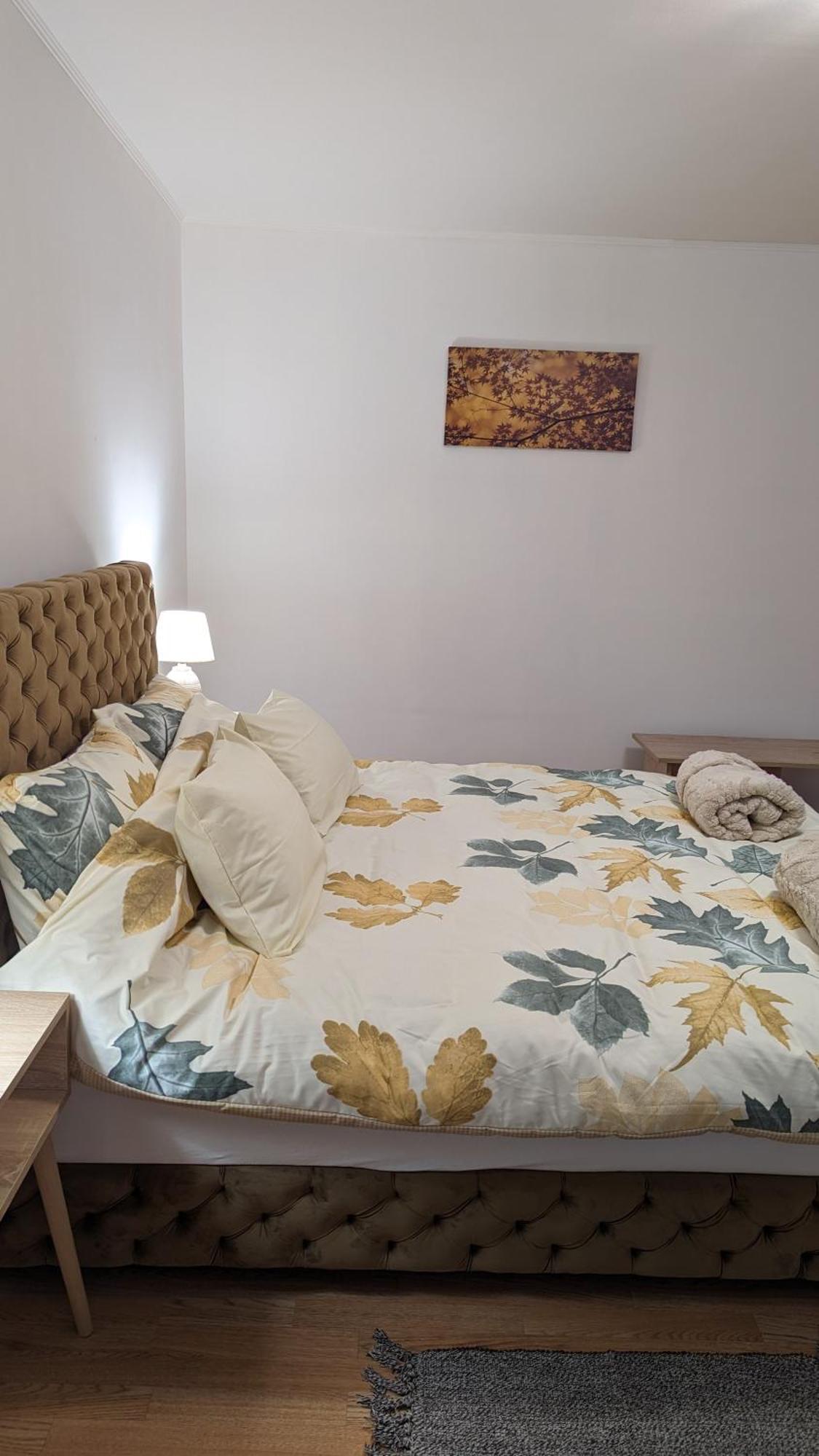 A&M Apartmani Subotica Exterior foto